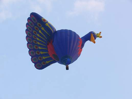 Peacock balloon