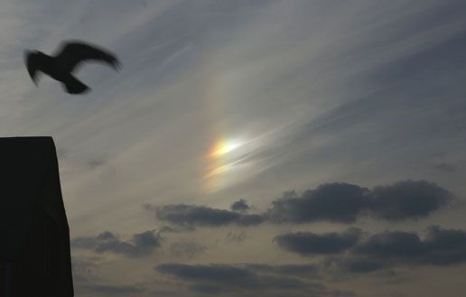 Sundog