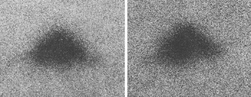 The unidentified object in the photos 300x enlarged